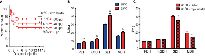 Figure 7