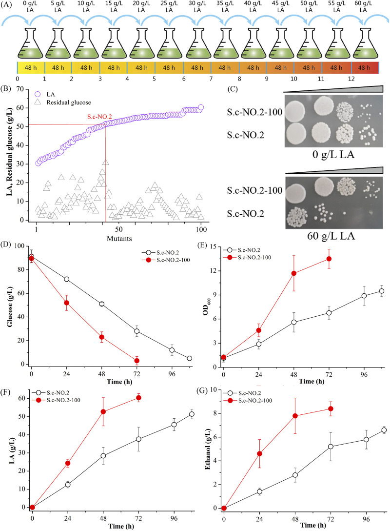 FIG 4