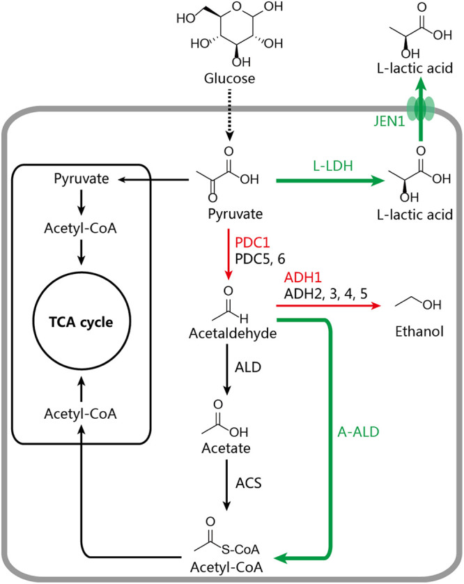 FIG 1