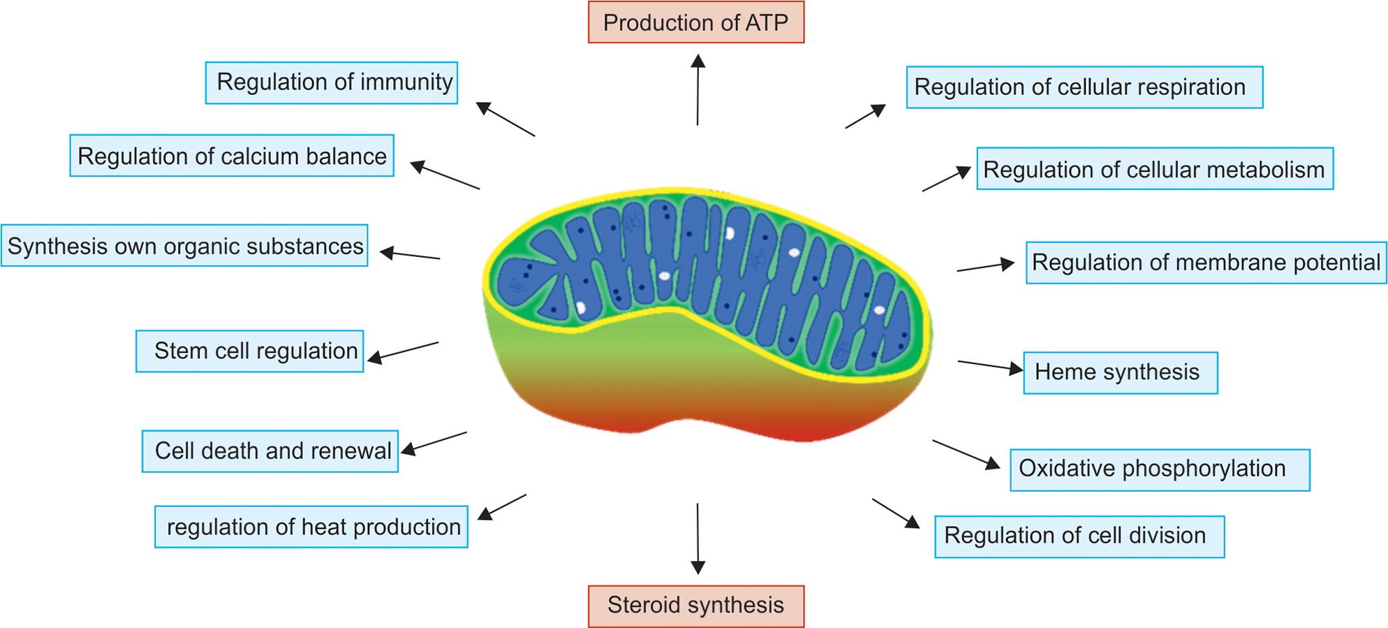 Fig. 1: