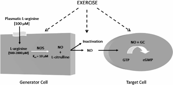 Fig. (1)