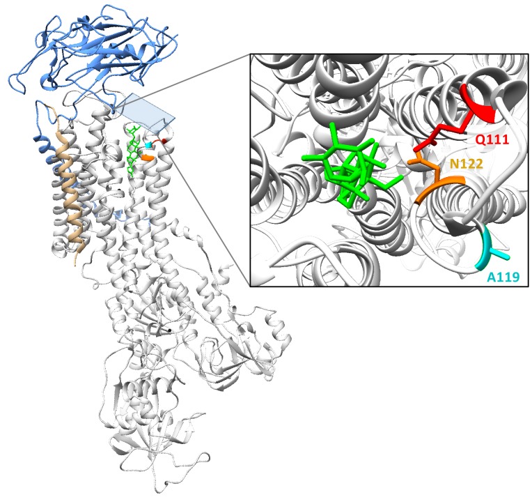 Figure 1—figure supplement 4.