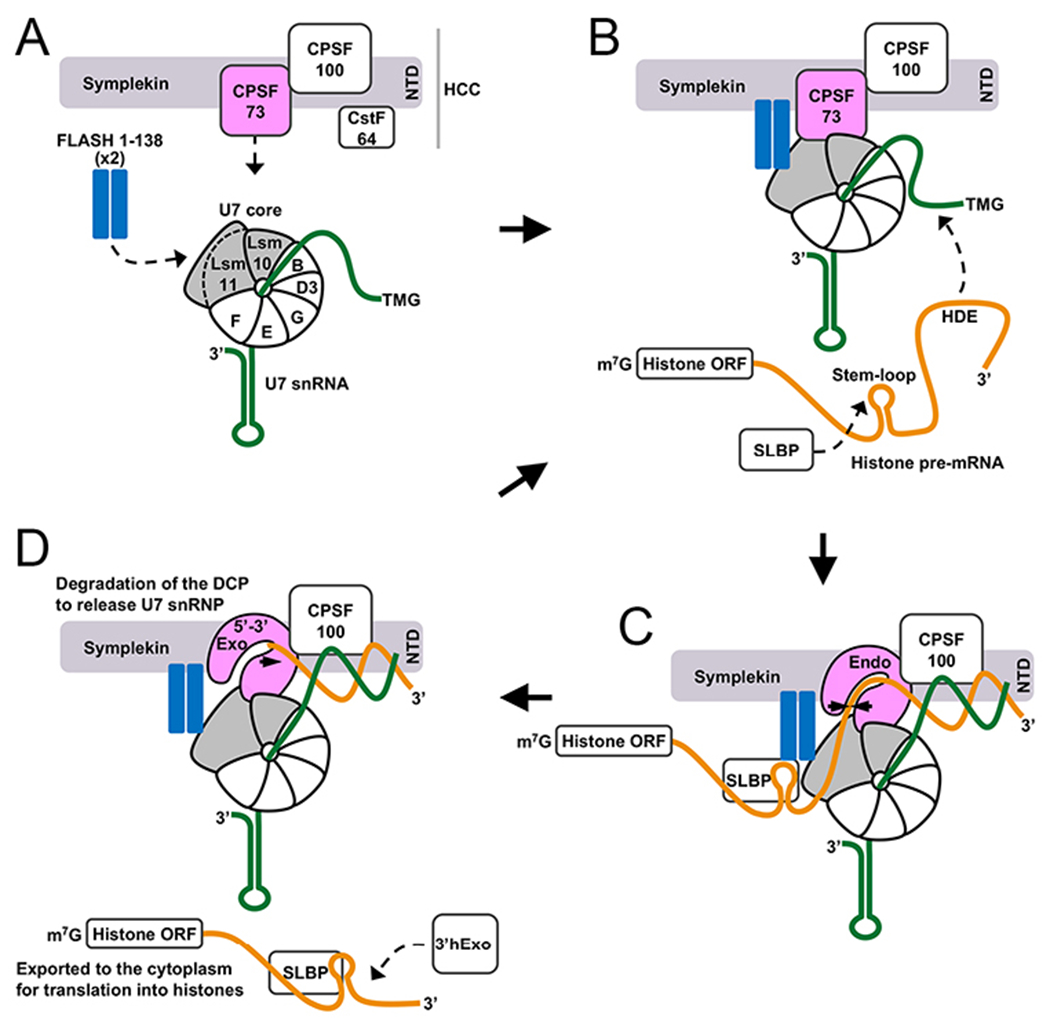 Figure 4.