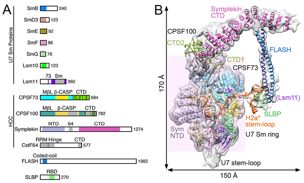 Figure 2.