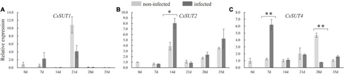 FIGURE 6