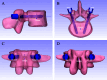 Fig 5