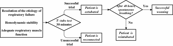 FIGURE 1