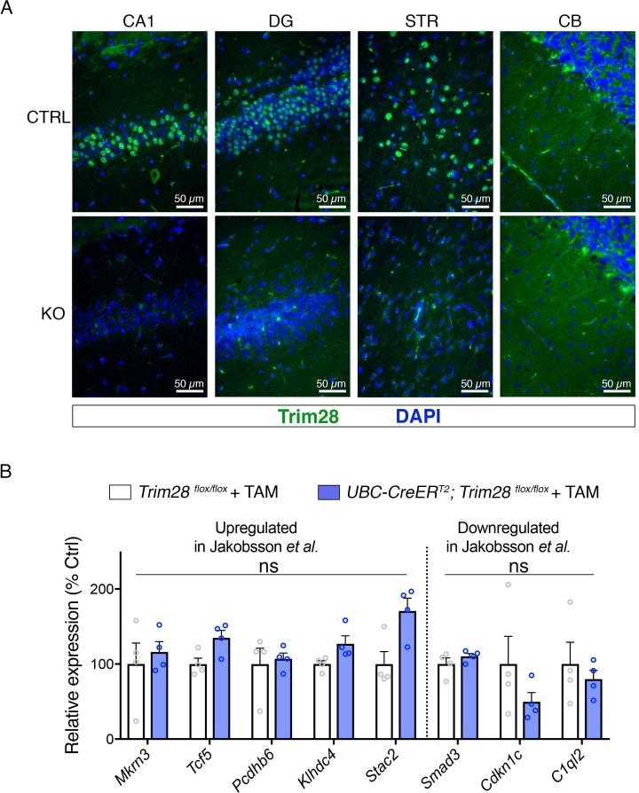 Figure 4—figure supplement 1.