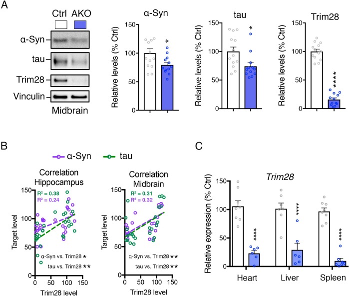 Figure 2—figure supplement 2.