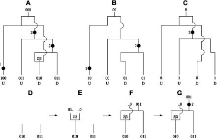 Figure  1. 