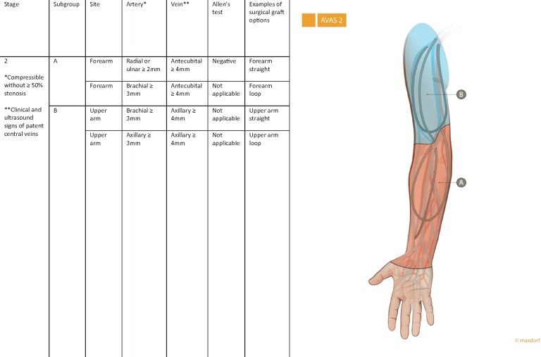 FIGURE 2: