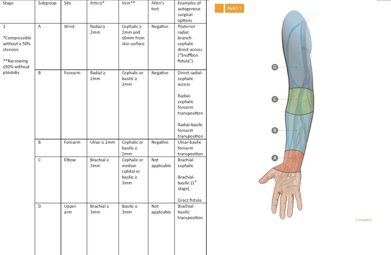 FIGURE 1: