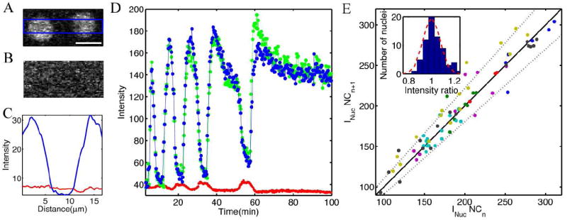 FIG. 3