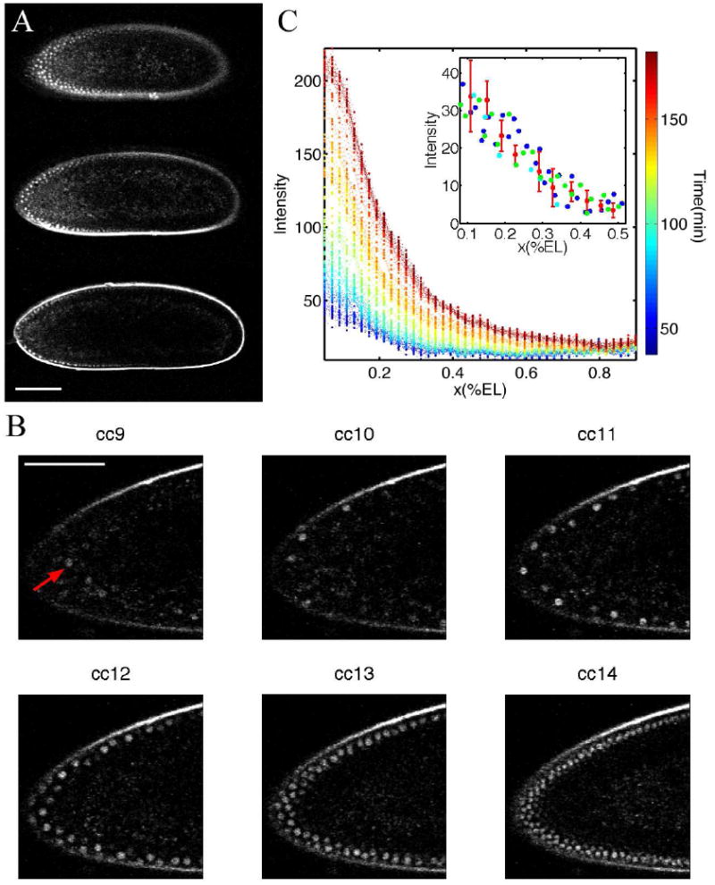 FIG. 1