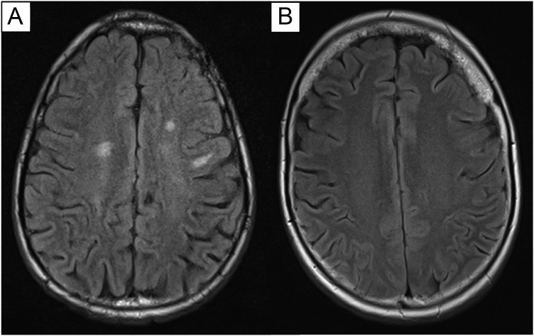 Fig. 1.