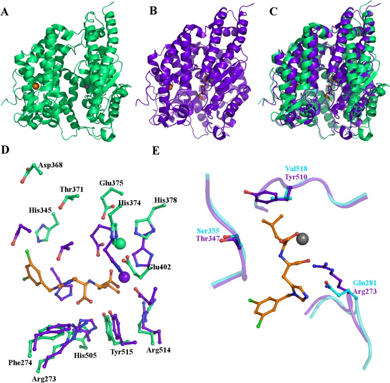 Fig. 6