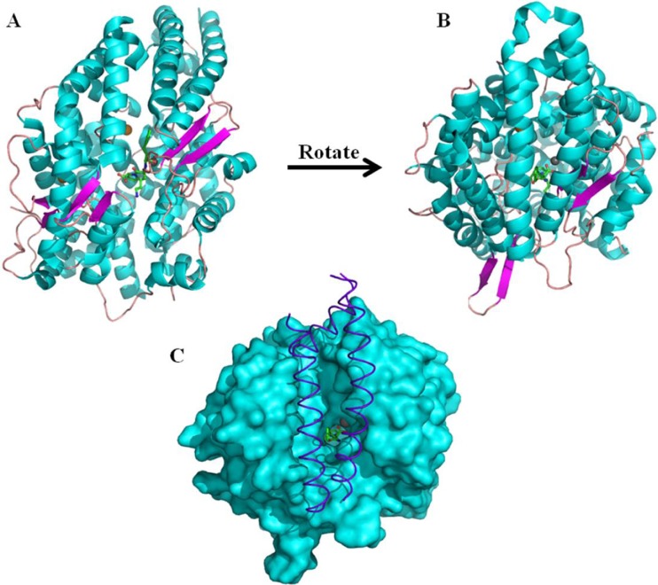 Fig. 2