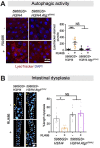 Figure 6—figure supplement 1.
