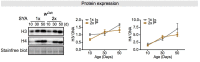 Figure 1—figure supplement 3.