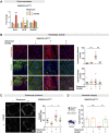 Figure 5—figure supplement 2.