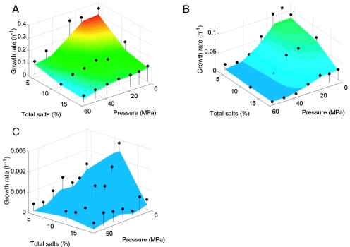 FIG. 2.