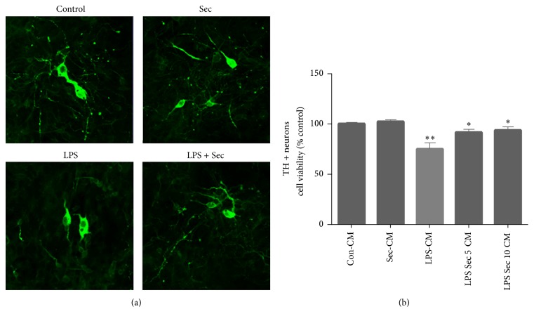 Figure 7