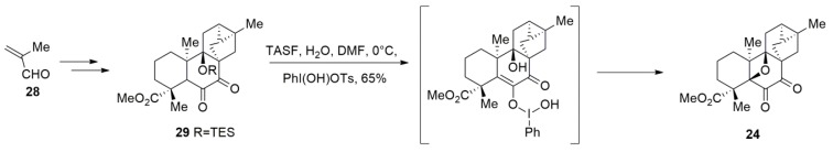 Scheme 7