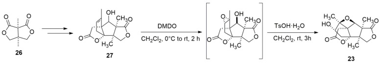 Scheme 6