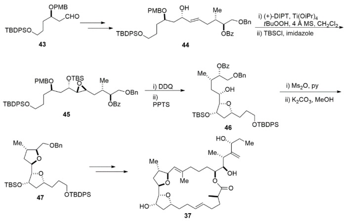 Scheme 10