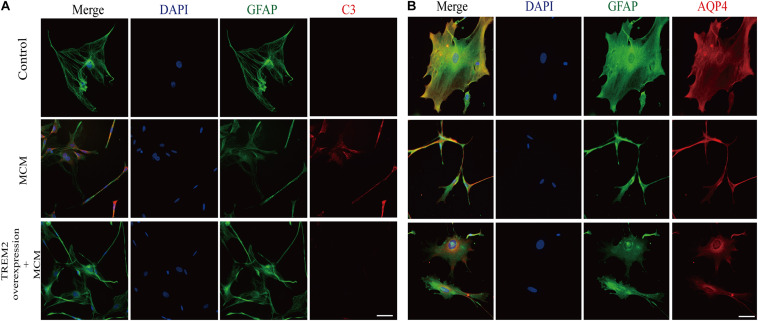 FIGURE 11