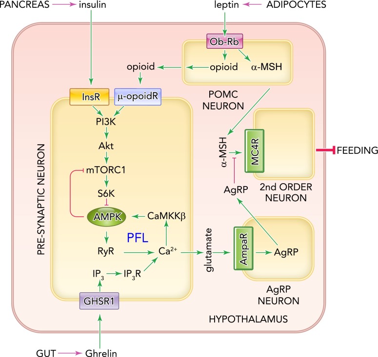 FIGURE 4.