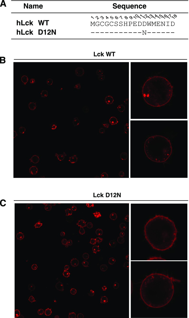 Fig. S5.