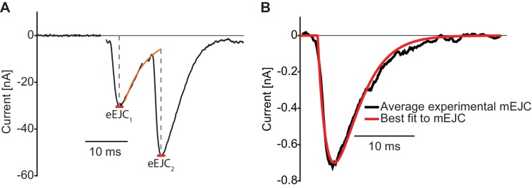 Figure 2—figure supplement 1.