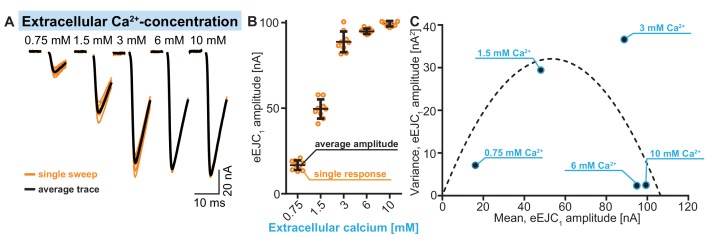 Figure 2—figure supplement 2.