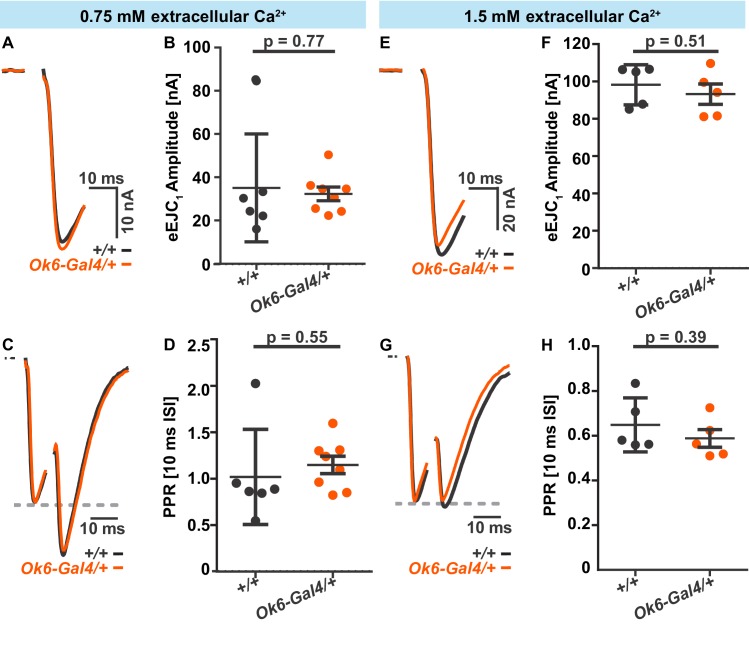 Figure 2—figure supplement 3.