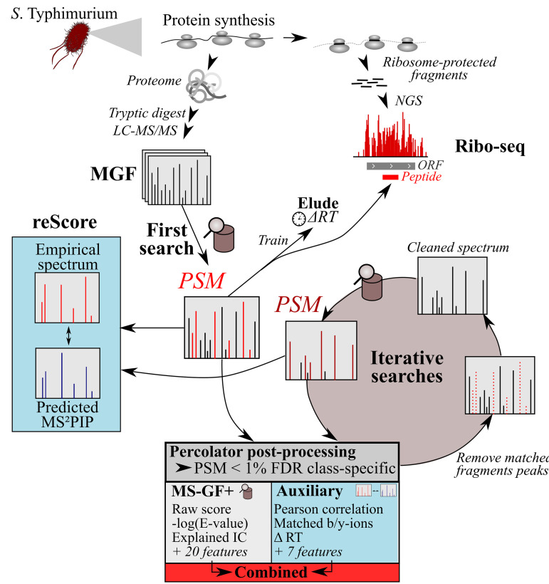 FIG 1