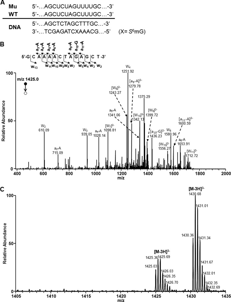 FIGURE 3.