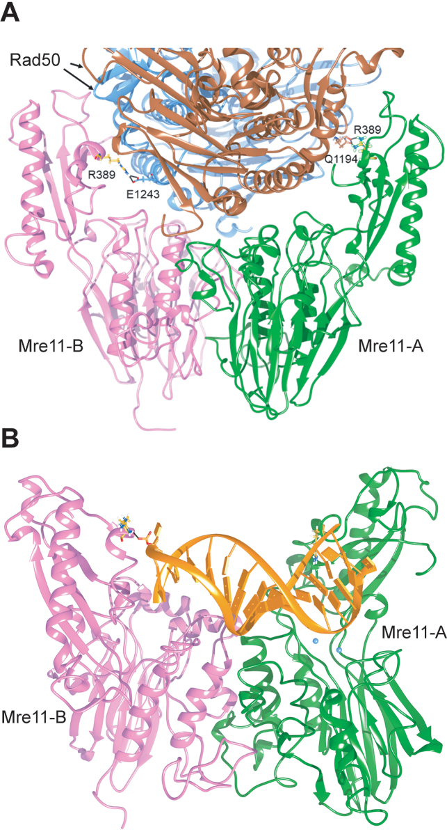 Figure 7.