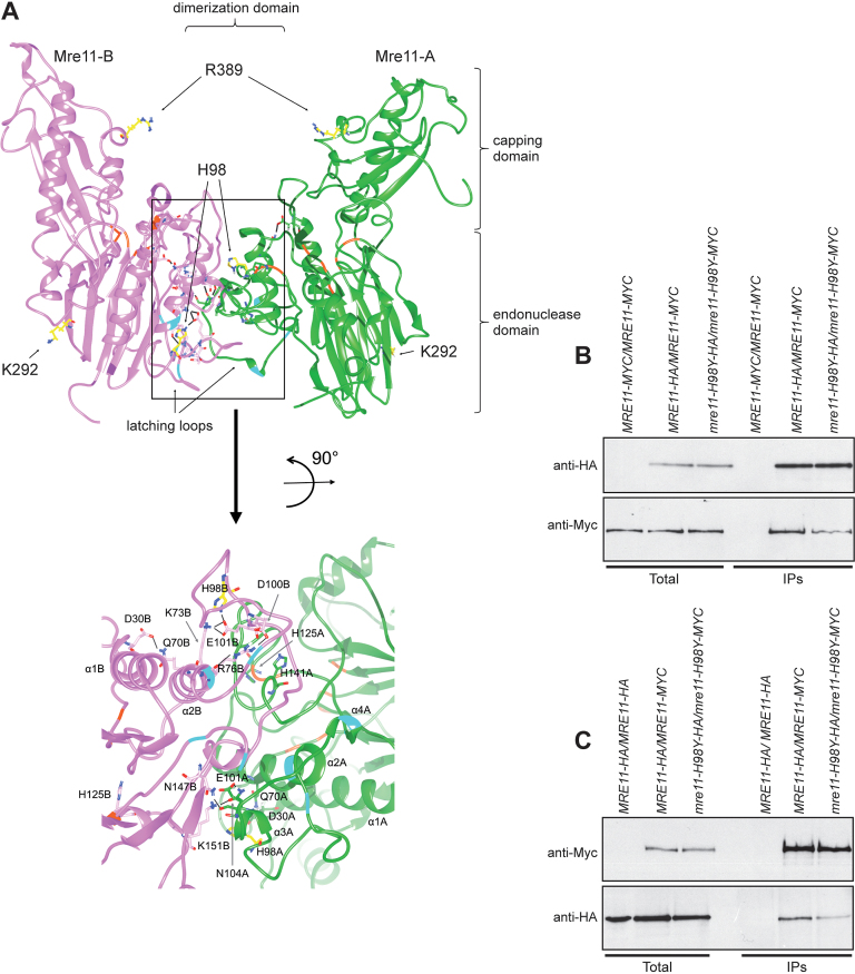 Figure 6.