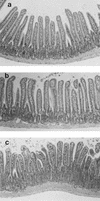 FIG. 5