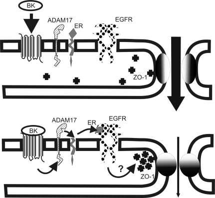 Fig. 6.