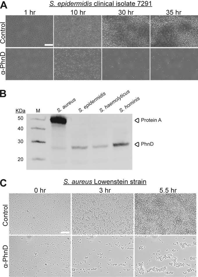 FIG 6