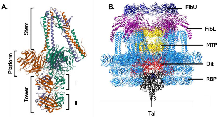 Figure 10