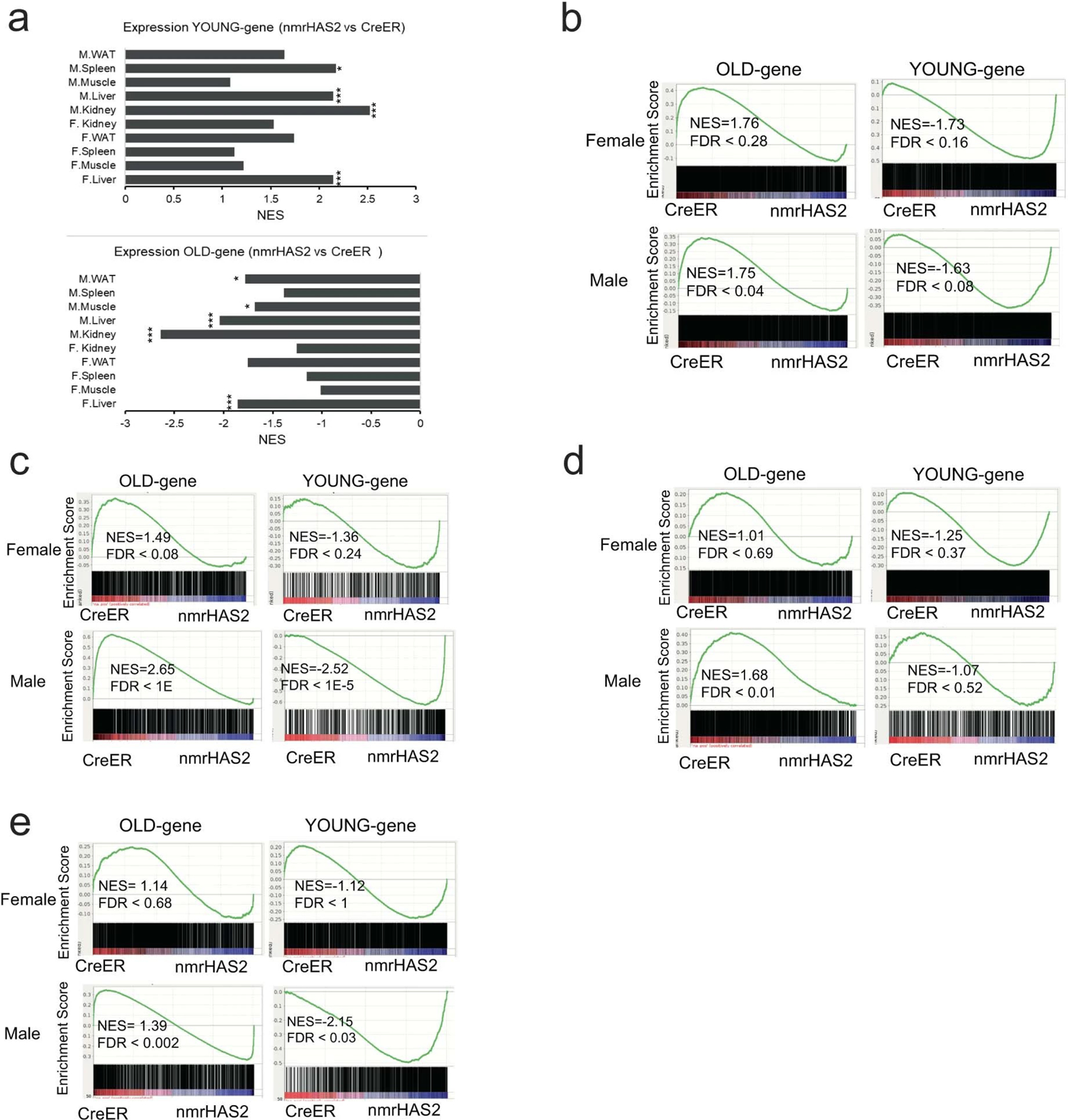 Extended Data Figure 4.