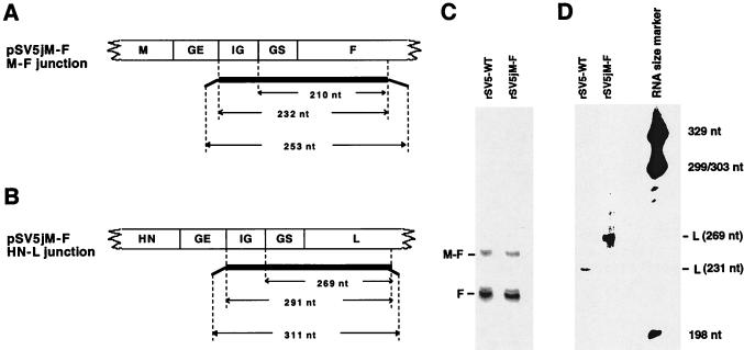 FIG. 5