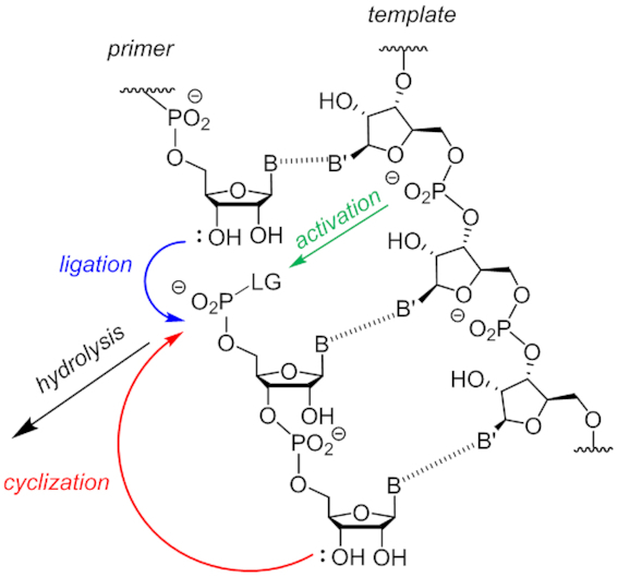 Figure 11.