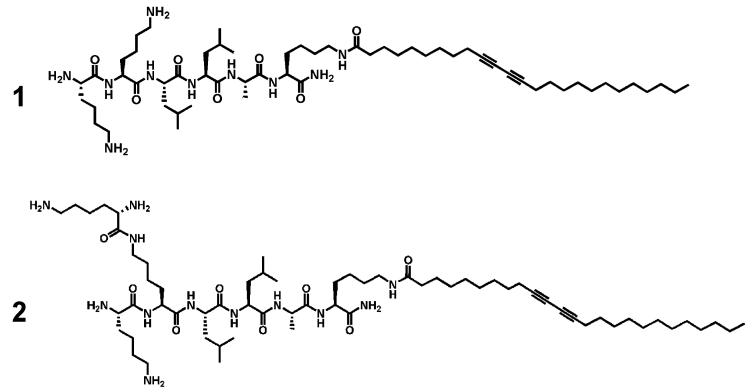 Scheme 2