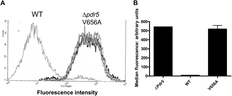 Fig 4