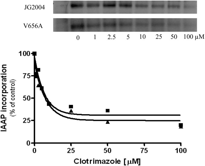 Fig 6