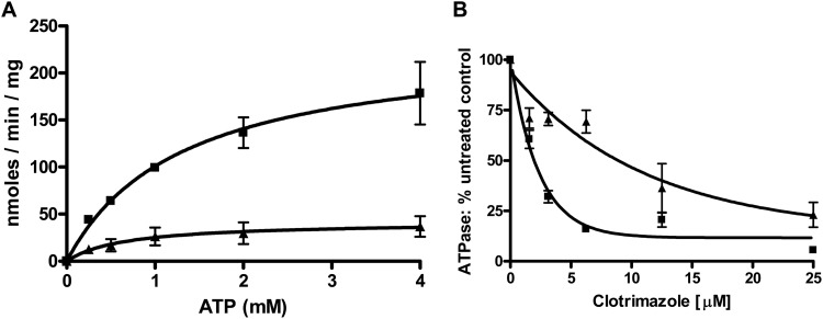 Fig 5